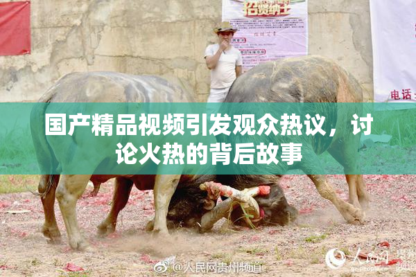 国产精品视频引发观众热议，讨论火热的背后故事