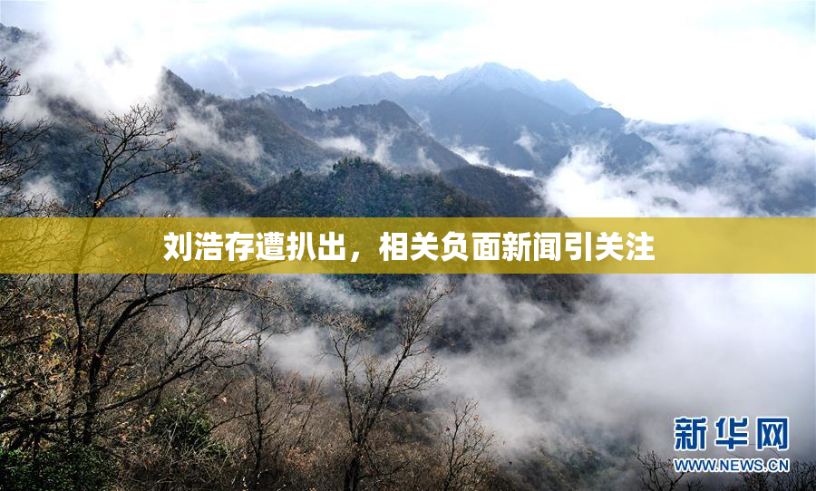 刘浩存遭扒出，相关负面新闻引关注