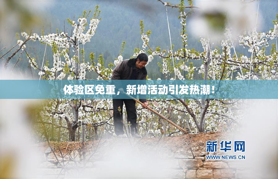 体验区免重，新增活动引发热潮！