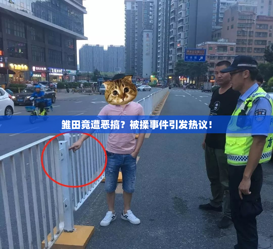 雏田竟遭恶搞？被揉事件引发热议！