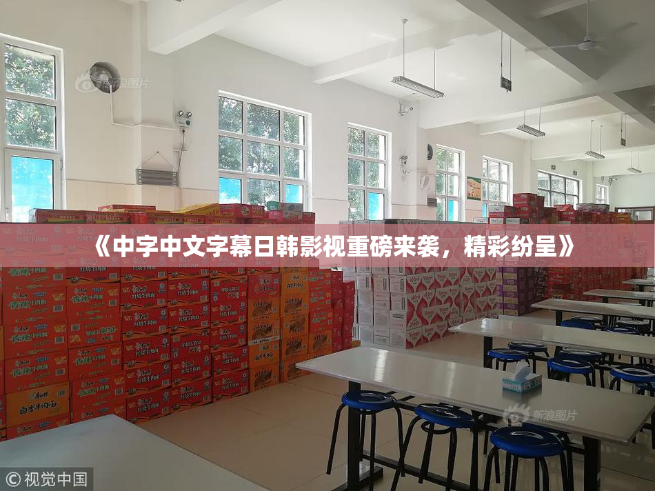 《中字中文字幕日韩影视重磅来袭，精彩纷呈》