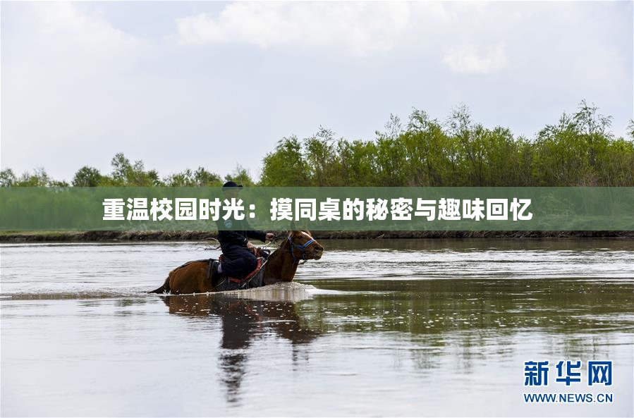 重温校园时光：摸同桌的秘密与趣味回忆