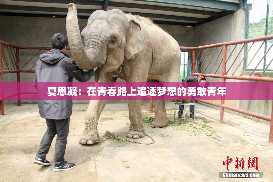 夏思凝：在青春路上追逐梦想的勇敢青年