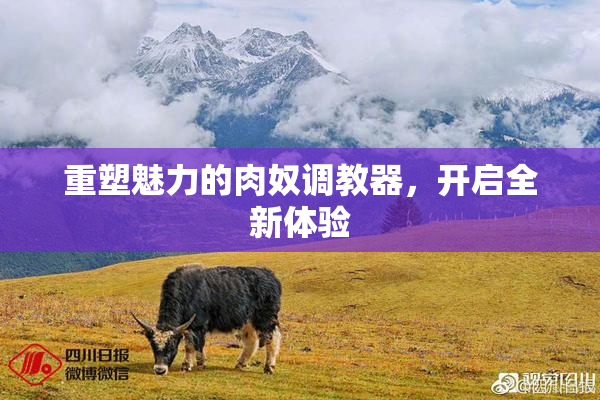 重塑魅力的肉奴调教器，开启全新体验