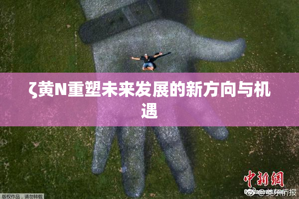ζ黄Ν重塑未来发展的新方向与机遇