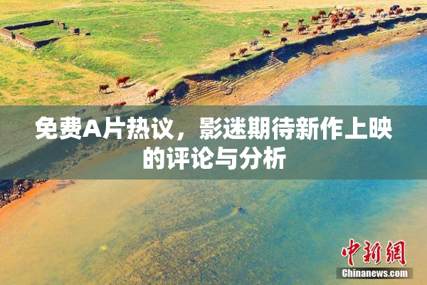免费A片热议，影迷期待新作上映的评论与分析