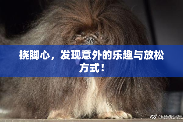 挠脚心，发现意外的乐趣与放松方式！