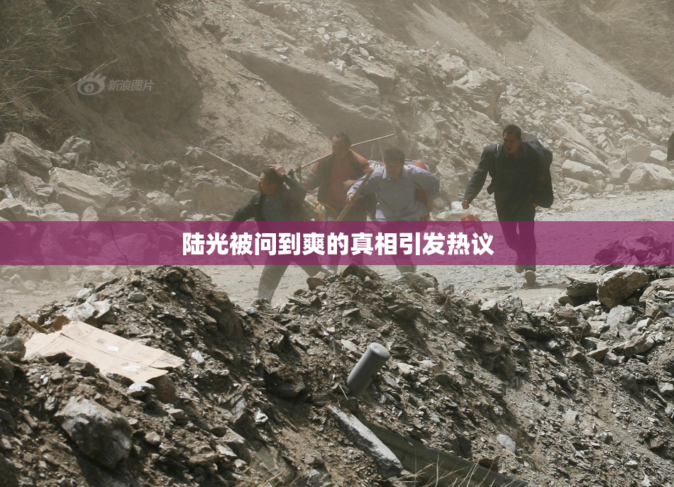 陆光被问到爽的真相引发热议