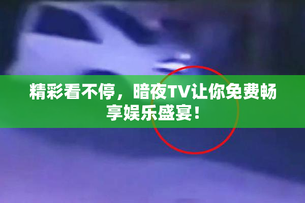 精彩看不停，暗夜TV让你免费畅享娱乐盛宴！