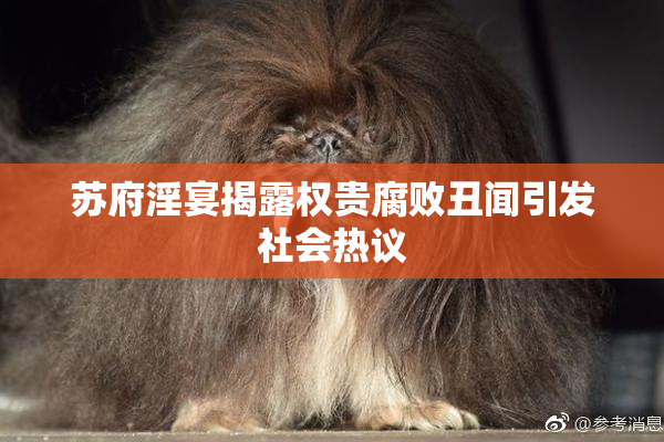 苏府淫宴揭露权贵腐败丑闻引发社会热议