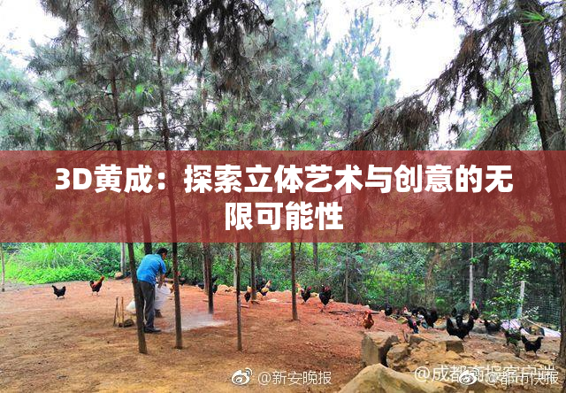 3D黄成：探索立体艺术与创意的无限可能性