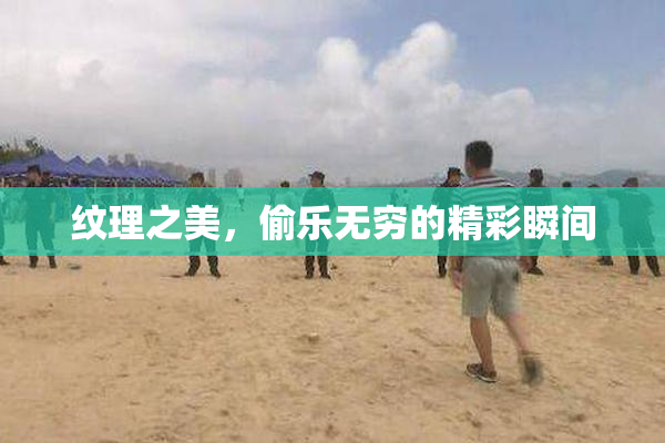 纹理之美，偷乐无穷的精彩瞬间