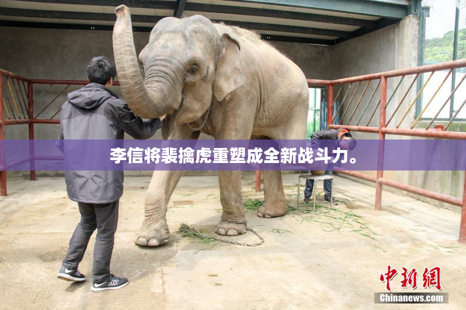 李信将裴擒虎重塑成全新战斗力。