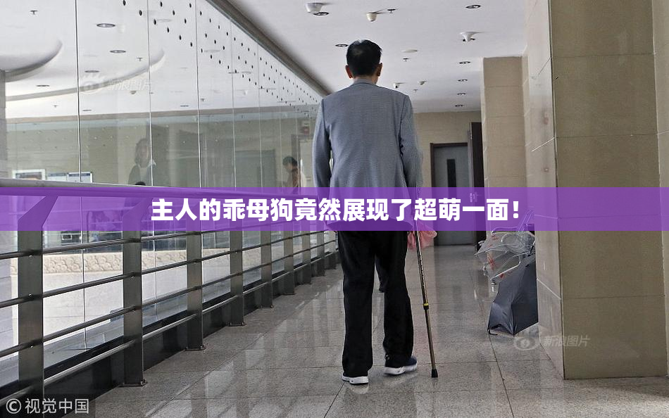 主人的乖母狗竟然展现了超萌一面！