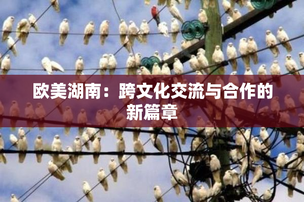 欧美湖南：跨文化交流与合作的新篇章