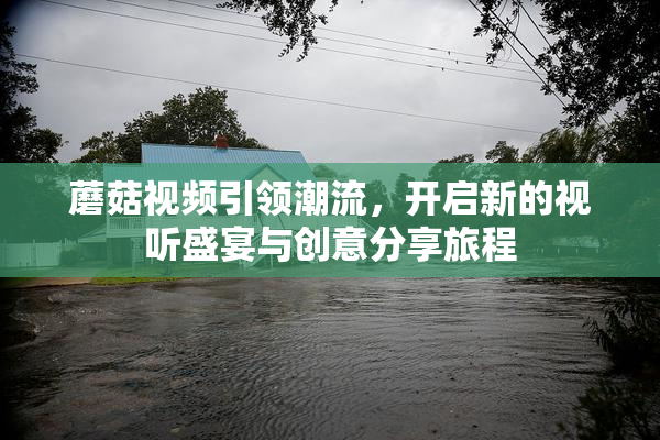 蘑菇视频引领潮流，开启新的视听盛宴与创意分享旅程