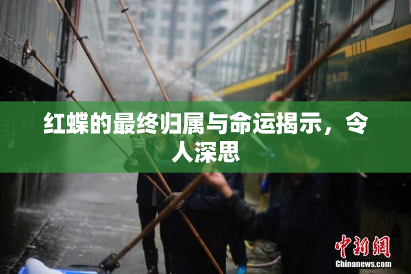 红蝶的最终归属与命运揭示，令人深思