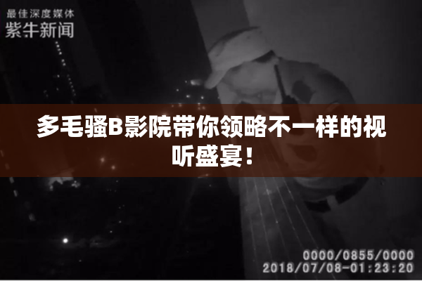 多毛骚B影院带你领略不一样的视听盛宴！