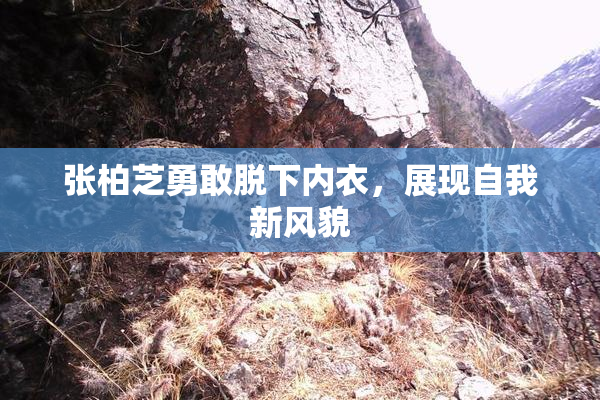 张柏芝勇敢脱下内衣，展现自我新风貌