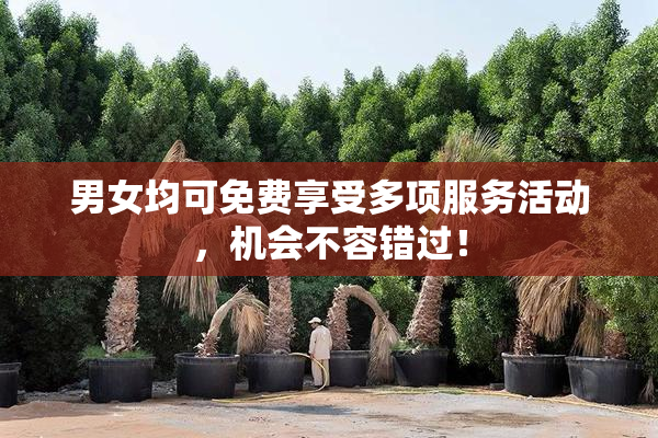 男女均可免费享受多项服务活动，机会不容错过！