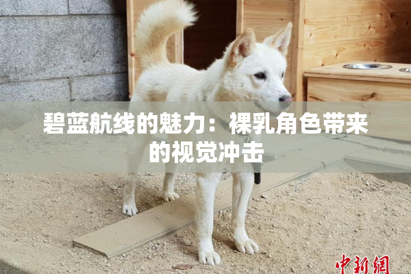 碧蓝航线的魅力：裸乳角色带来的视觉冲击