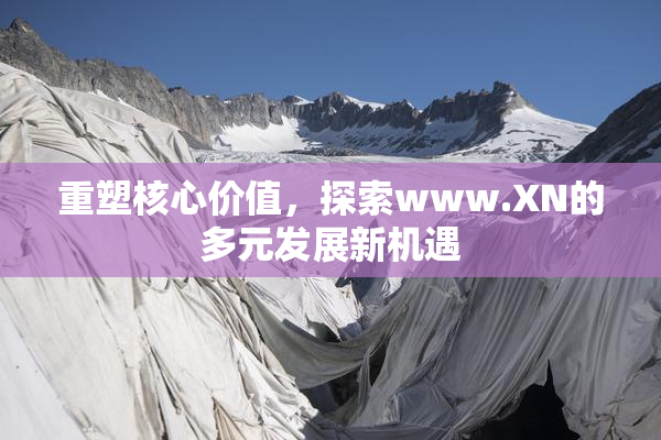 重塑核心价值，探索www.XN的多元发展新机遇