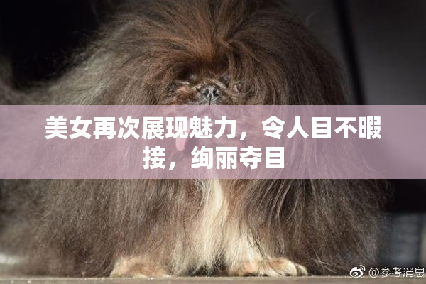 美女再次展现魅力，令人目不暇接，绚丽夺目