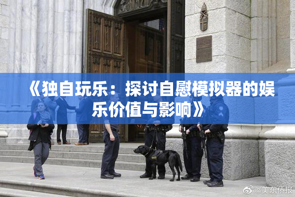 《独自玩乐：探讨自慰模拟器的娱乐价值与影响》