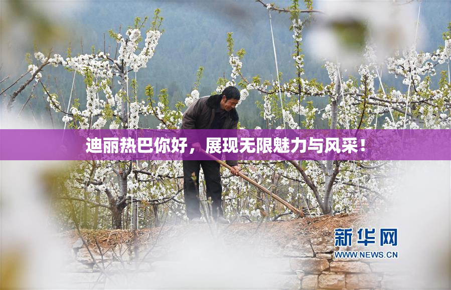 迪丽热巴你好，展现无限魅力与风采！