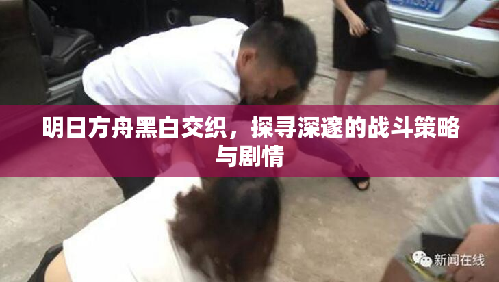 明日方舟黑白交织，探寻深邃的战斗策略与剧情