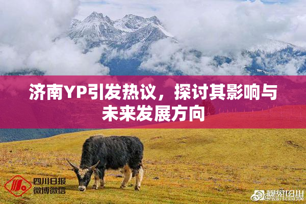 济南YP引发热议，探讨其影响与未来发展方向
