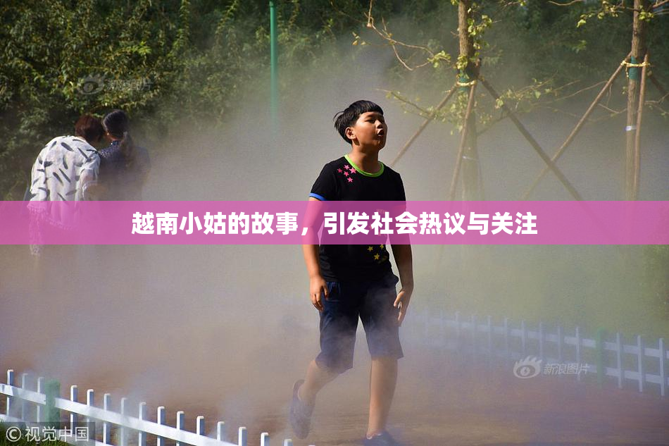 越南小姑的故事，引发社会热议与关注