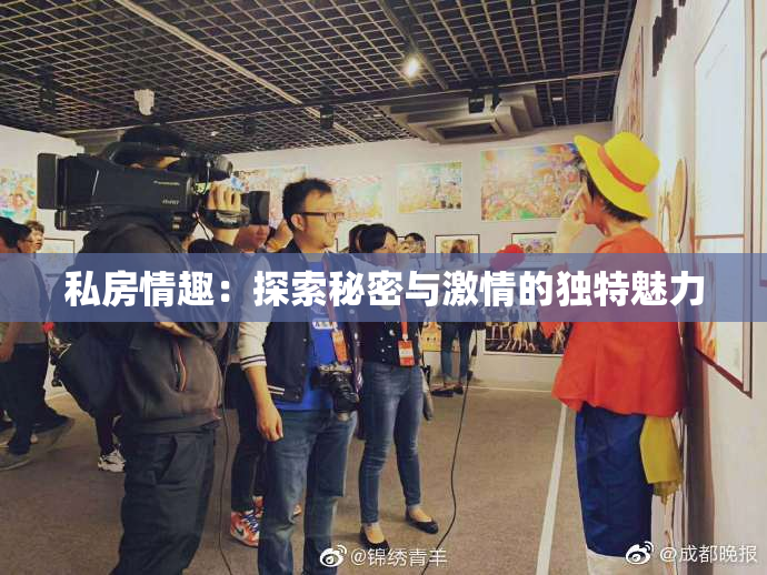 私房情趣：探索秘密与激情的独特魅力