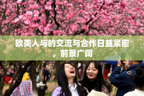 欧美人与的交流与合作日益紧密，前景广阔