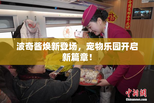 波奇酱焕新登场，宠物乐园开启新篇章！