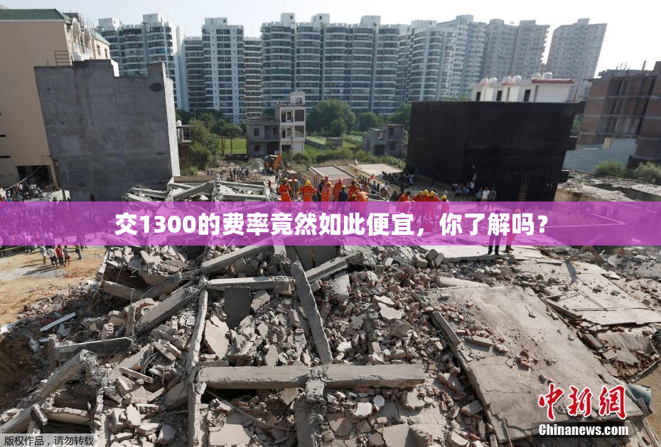 交1300的费率竟然如此便宜，你了解吗？