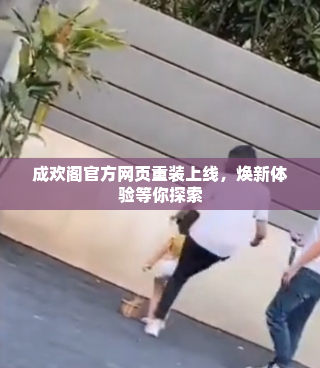 成欢阁官方网页重装上线，焕新体验等你探索