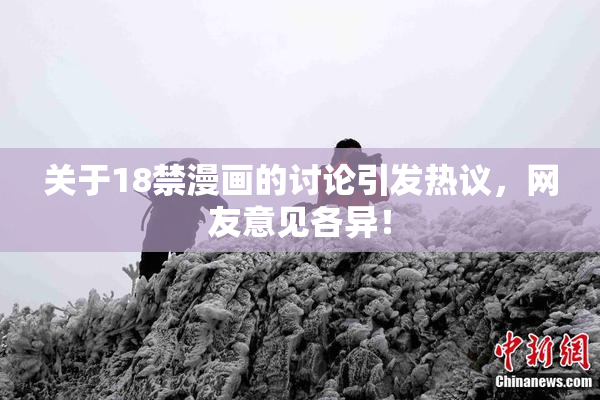 关于18禁漫画的讨论引发热议，网友意见各异！