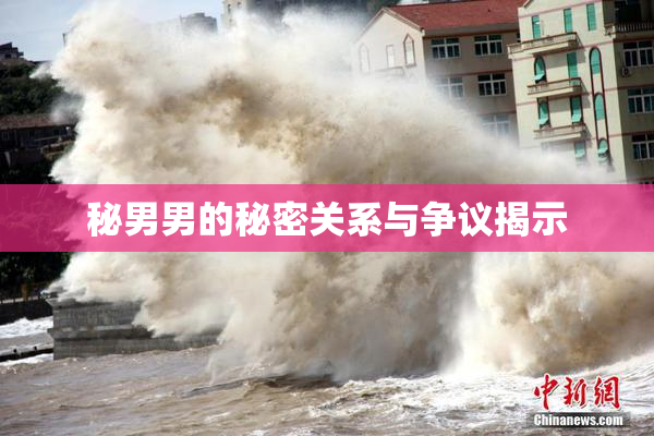 秘男男的秘密关系与争议揭示