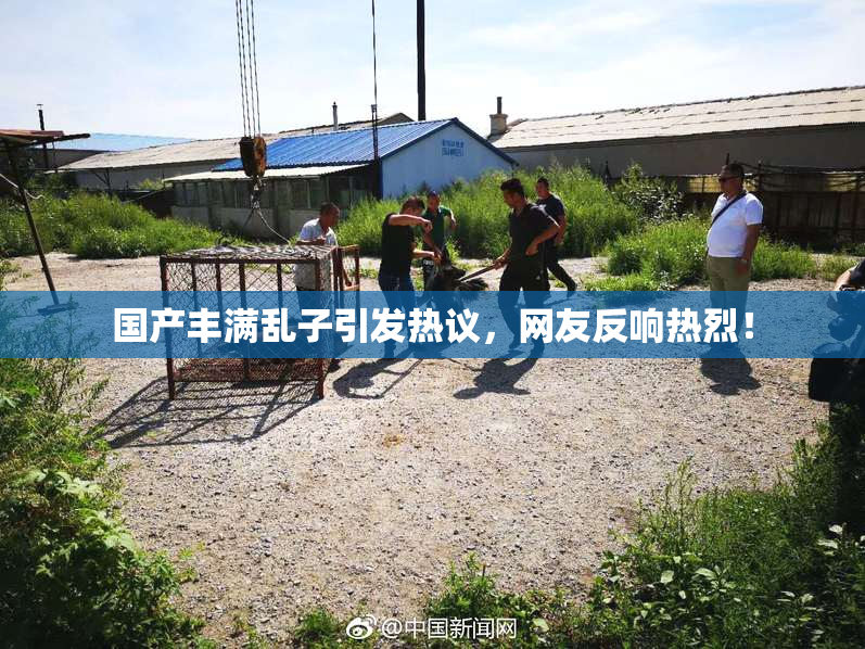 国产丰满乱子引发热议，网友反响热烈！