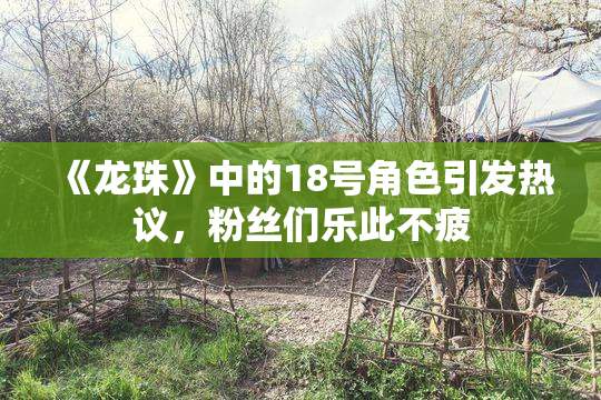 《龙珠》中的18号角色引发热议，粉丝们乐此不疲