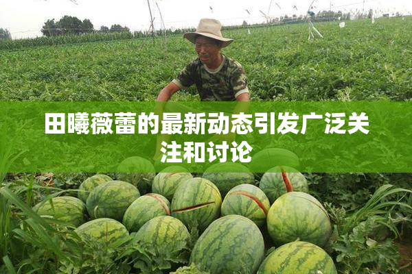 田曦薇蕾的最新动态引发广泛关注和讨论