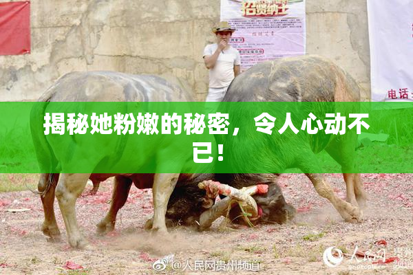 揭秘她粉嫩的秘密，令人心动不已！
