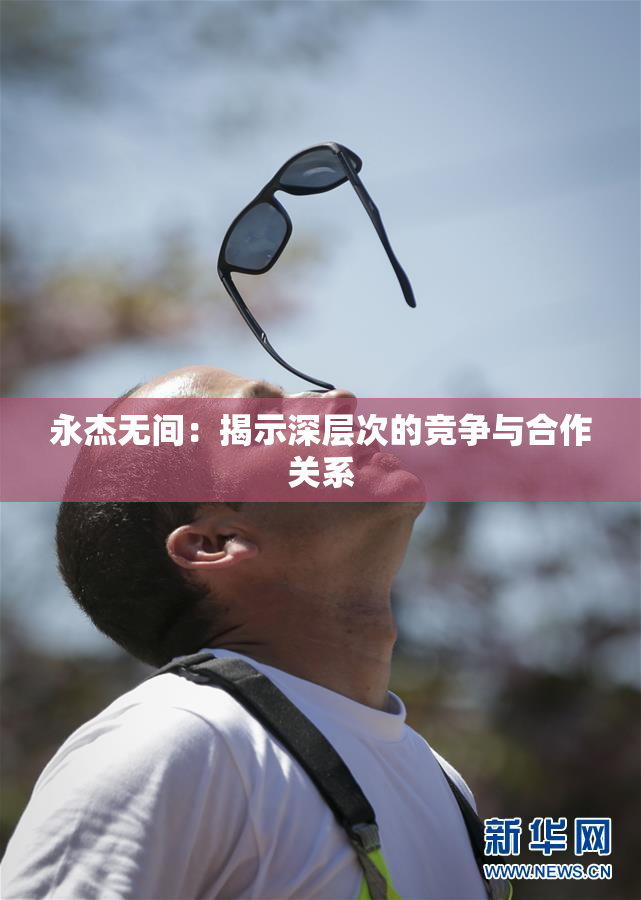 永杰无间：揭示深层次的竞争与合作关系
