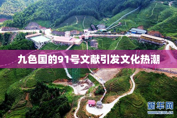 九色国的91号文献引发文化热潮