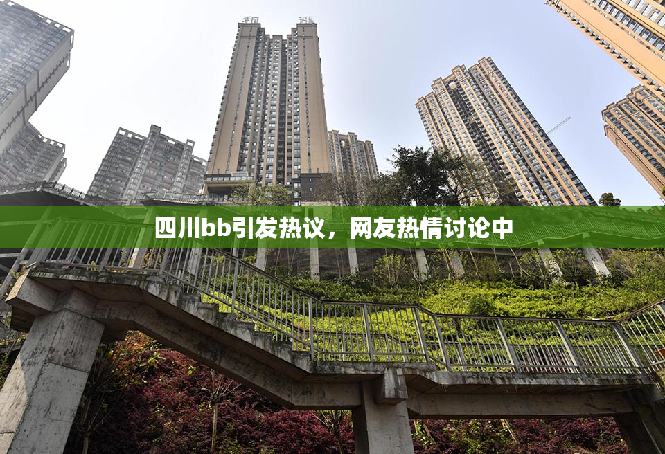 四川bb引发热议，网友热情讨论中