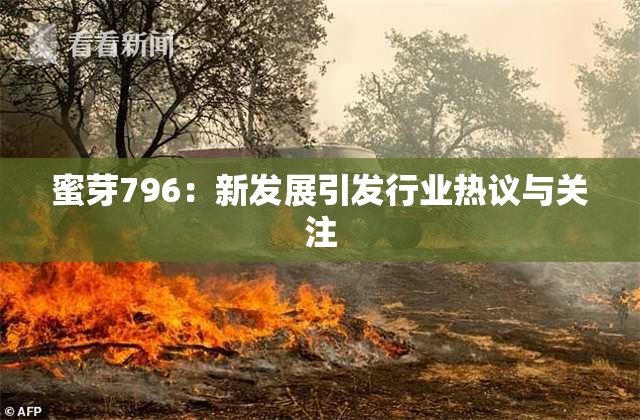 蜜芽796：新发展引发行业热议与关注