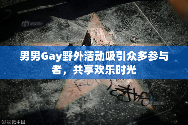 男男Gay野外活动吸引众多参与者，共享欢乐时光