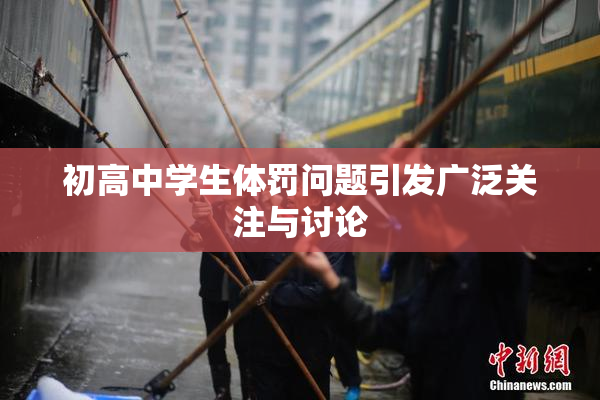 初高中学生体罚问题引发广泛关注与讨论