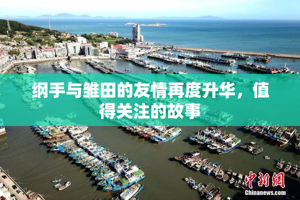 纲手与雏田的友情再度升华，值得关注的故事